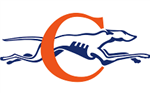 Greyhound 
